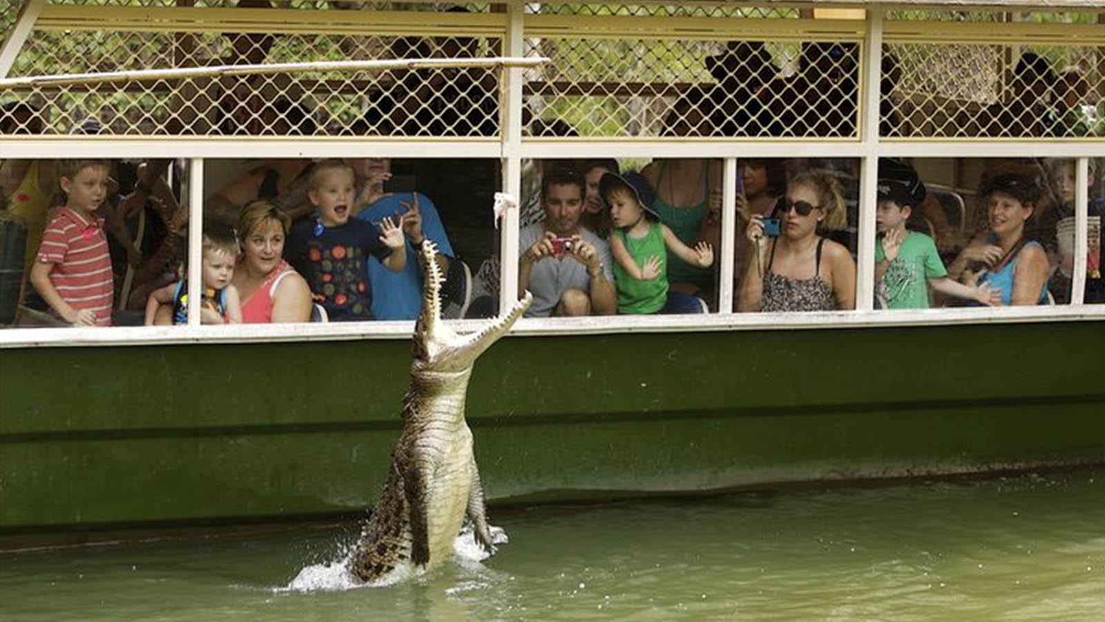 Best Hartley’s Crocodile Adventures Tours with Sizzling Wheels